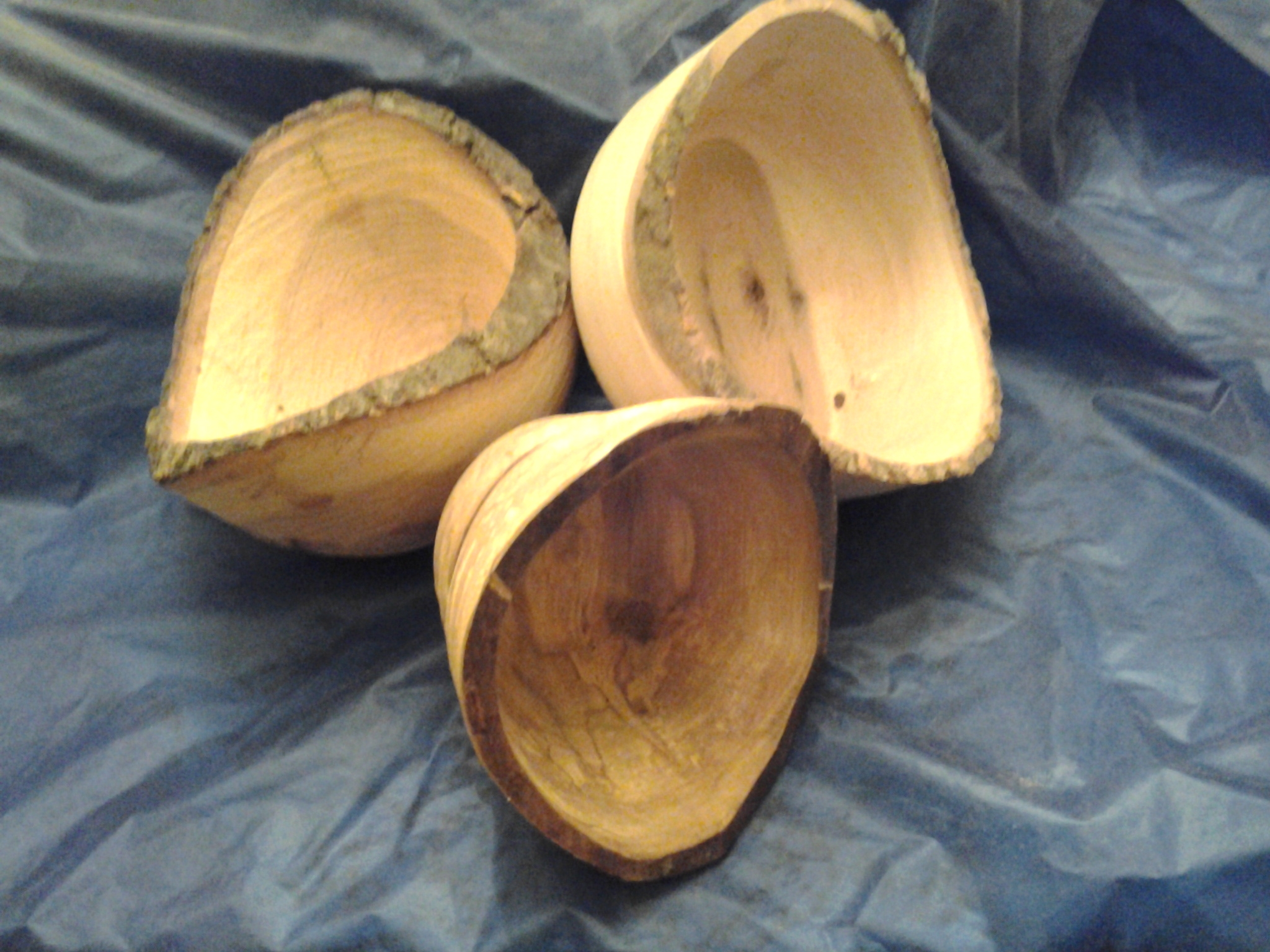Three wooden bowls with bark on the edge sit on a blue background.
