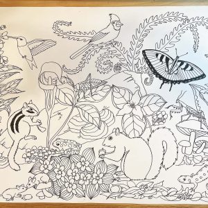 Drawing ADK Wildlife- May 2025