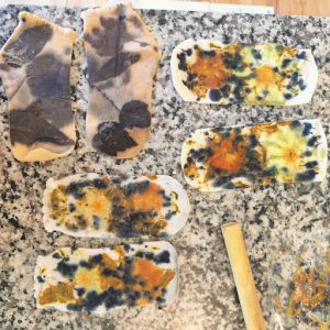 Wild Feet: Forest & Flower Socks- July 2026