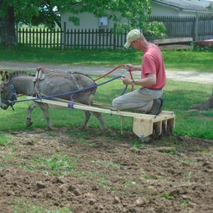 From Seed to Pizza- April 2026