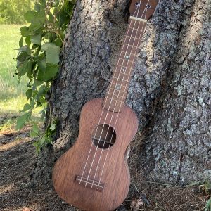 Build Your Own Ukulele- March 2026