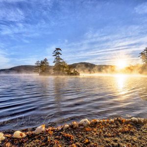 Spring Lakes and Waterways Photo Tour- May 2026